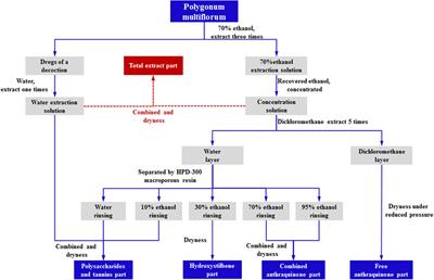 Interpretation the Hepatotoxicity Based on Pharmacokinetics Investigated Through Oral Administrated Different Extraction Parts of Polygonum multiflorum on Rats